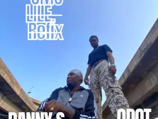 Danny S – Omo Lile (Refix) ft. Q dot Mp3 Download
