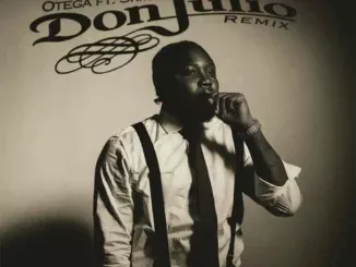 Otega Ft. Skiibii – Don Julio (Remix) Mp3 Download