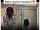 Naira Marley - Warapa