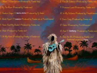 Wizard Chan Set To Release Healers Chapel Album
