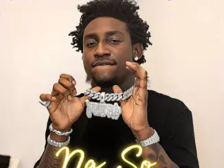 Shallipopi – Na So Mp3 Download