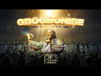 Pelumi Deborah – Gbogbonise (The All Capable One)