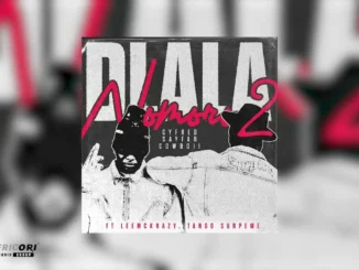 CowBoii  Nomoro 2 (Dlala) ft. Cyfred, Sayfar, Tango Supreme & LeeMcKrazy Mp3 Download
