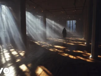 Damian Marley The Light Finds You Mp3 Download