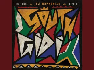 DJ Maphorisa, DJ Tunez & Wizkid  ABANGANI feat. Daliwonga & Madumane Mp3 Download