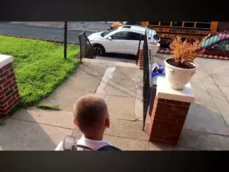 Jayden  Your bus is here (original Song video) Mp3 Download