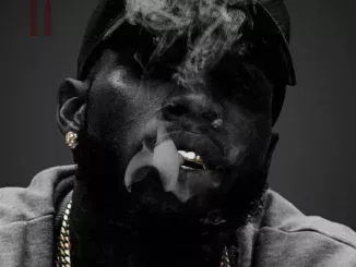 Lana Del Rey  Summertime Sadness (Lana Del Rey Vs. Cedric Gervais) (Cedric Gervais Remix) ft. Cedric Gervais Mp3 Download