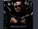 LeeMcKrazy  Delmas feat. Mulest Vankay, Twinnie Gee & Exlcusive RSA Mp3 Download