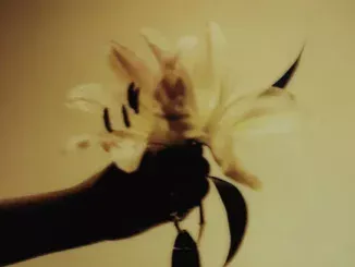 Leonie Biney  Groupie Mp3 Download