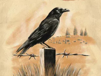 Morgan Wallen  Graveyard Whistling Mp3 Download