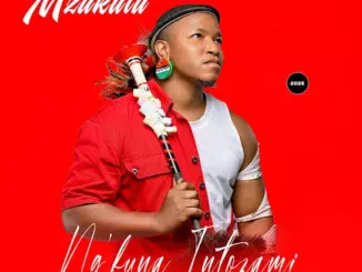 Mzukulu  Ngifuna intozami ft. Mfoka Msezane Mp3 Download