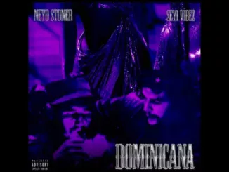 Seyi Vibez  Dominicana Offical Audio ft. Neyo Stoner Mp3 Download