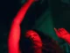 Tanerélle  Feels Like Love Mp3 Download