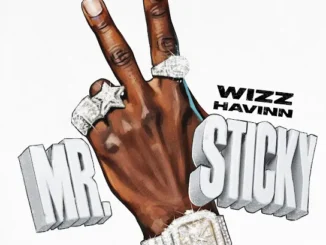 Wizz Havinn  Lost Ya Mind ft. Baby Mel Mp3 Download