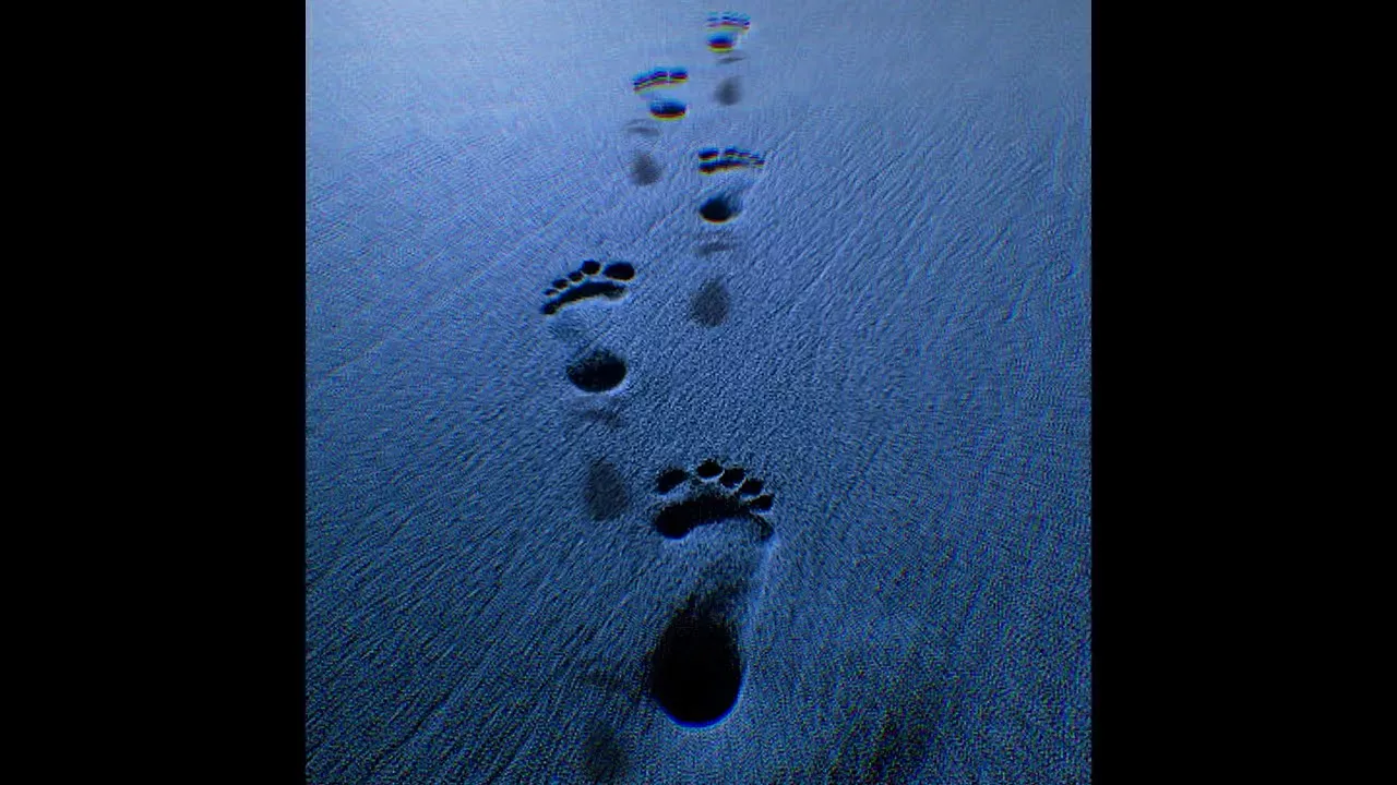 Zubi  Walk Like Me Mp3 Download