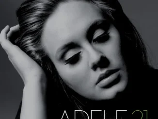 Adele  Set Fire to the Rain Mp3 Download