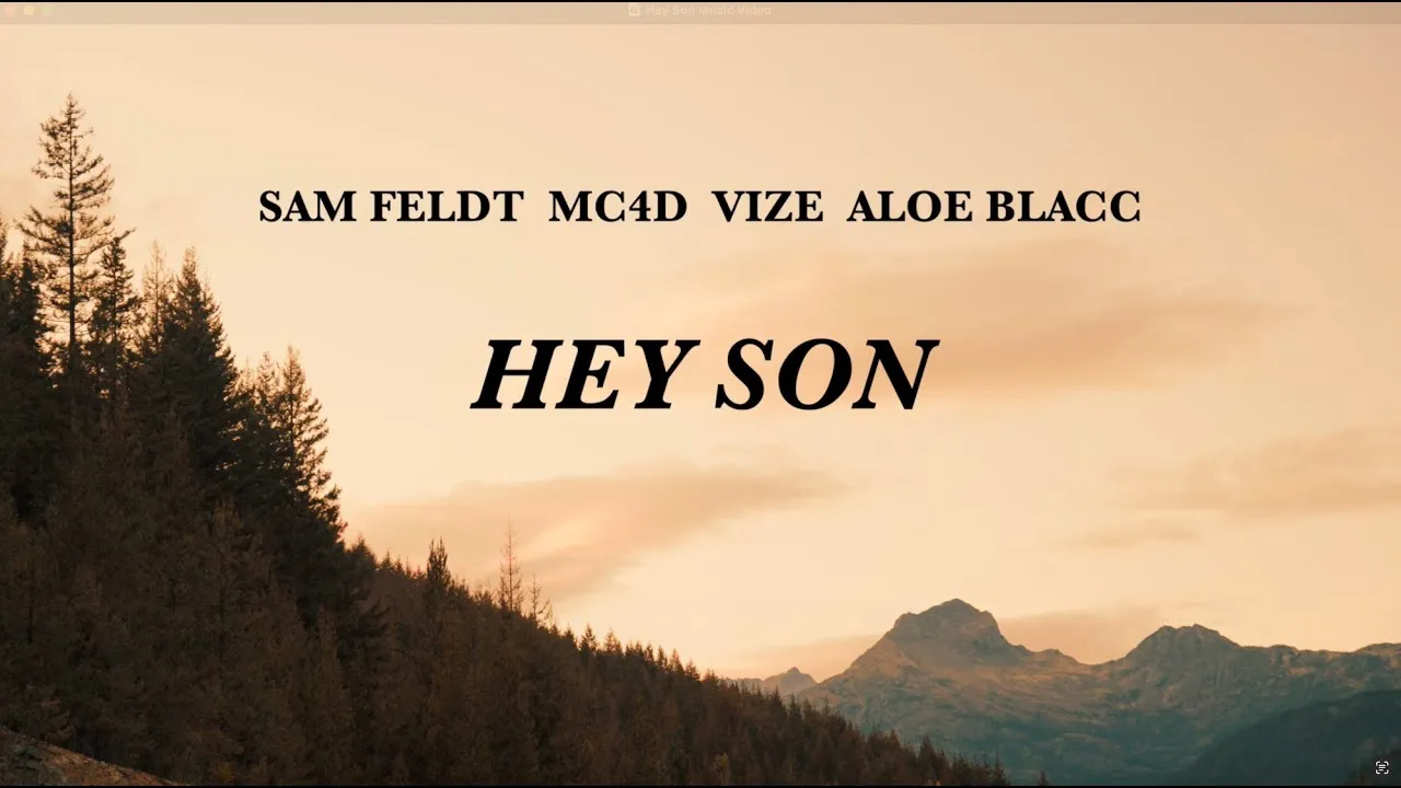 Aloe Blacc  Hey Son Ft. MC4D, VIZE & And Sam Feldt Mp3 Download