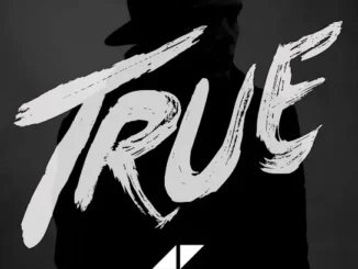 Avicii  Wake Me Up Mp3 Download