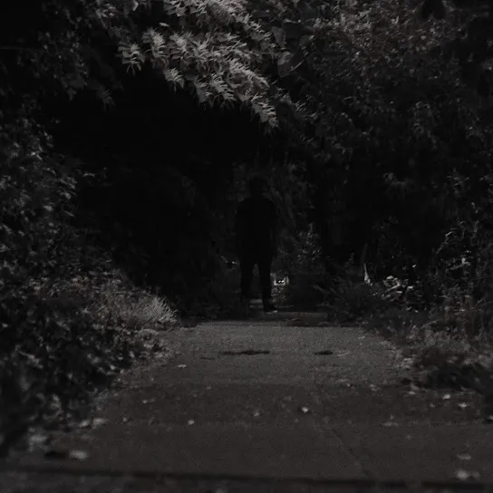 Billy woods  Complications ft. August Fanon & Aesop Rock) (feat. Aesop Rock Mp3 Download