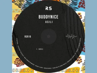 Buddynice  Buddynice  Asili Mp3 Download