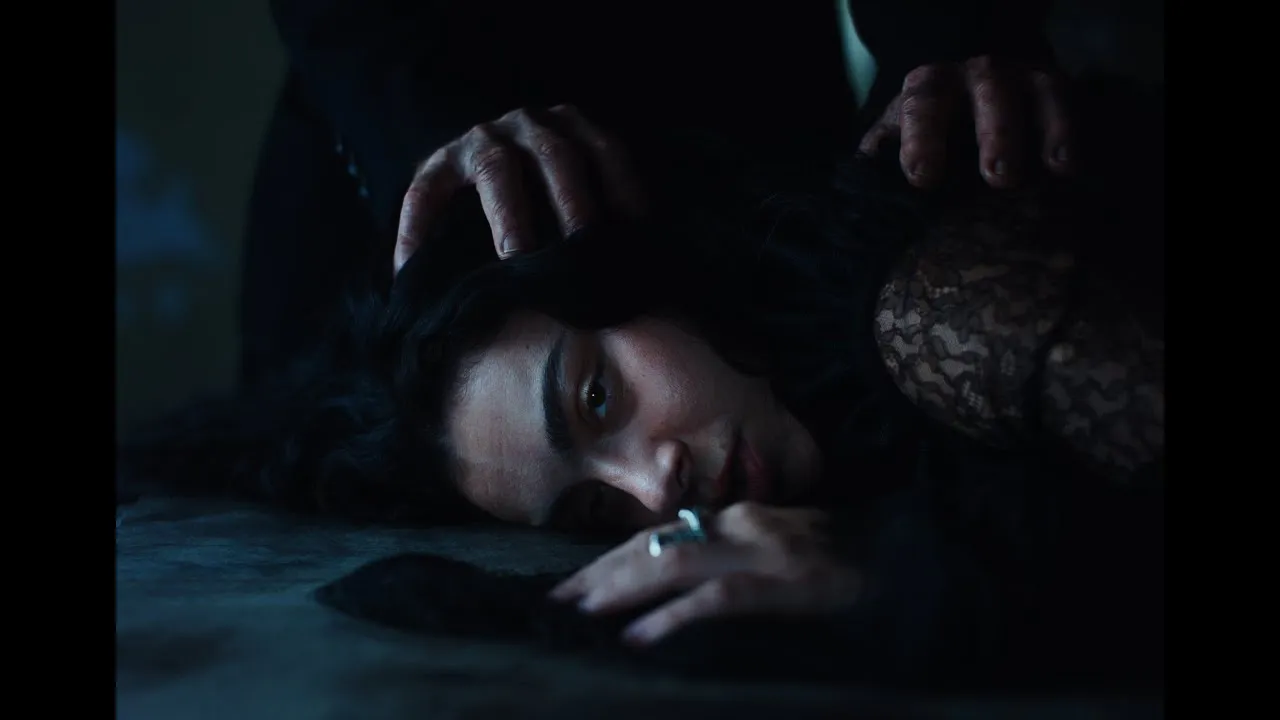 Charli xcx  House Ft. John Cale Mp3 Download