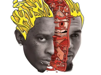 Chris Brown  Go Crazy Ft. Young Thug Mp3 Download