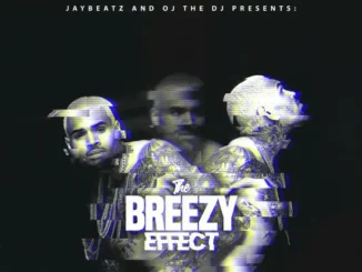 Chris Brown  Surrender to My Bed ft. Megan Thee Stallion & Kut Klose Mp3 Download