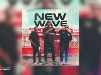 Dankie Boi  Blacks Jnr, Dankie Boi & Goldmax  Iskhokho eDurban Mp3 Download