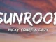 Dazy  Sunroof ft. Nicky Youre Mp3 Download