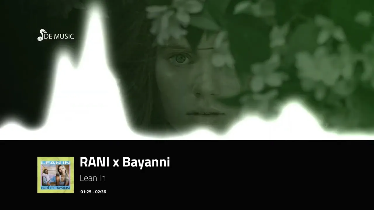 De Music Playlists  RANI x Bayanni  Lean In Mp3 Download