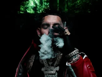 DeeBaby  Blue Pill, Red Pill Mp3 Download