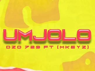 Dzo 729  Umjolo ft. Mkeyz Mp3 Download
