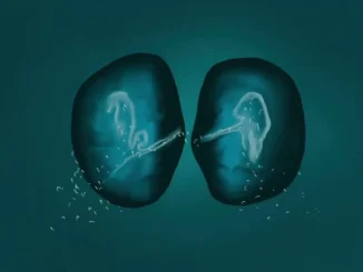 Elderbrook  Waterfall ft. Ahmed Spins Mp3 Download