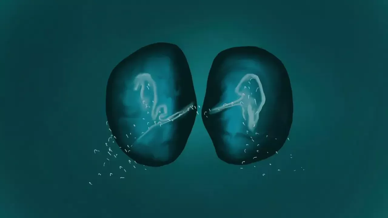 Elderbrook Waterfall ft. Ahmed Spins Mp3 Download