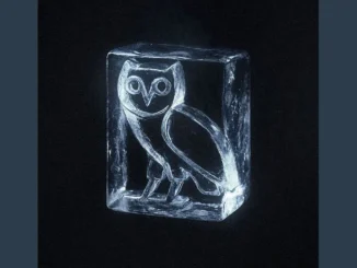 Forgotten  DRAKE X ICEMAN TYPE BEAT  ICE BOX Mp3 Download