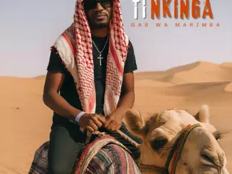 Gab Wa Marimba  BANA NENGE Mp3 Download