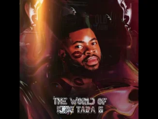 House of Amapiano  Dj King Tara  Animfonele Mp3 Download