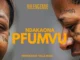 Hulengende  Hulengende Ndakaona pfumvu  Tsvimbo Mutauro Album (official visualiser) Mp3 Download