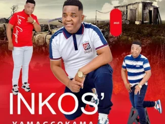 Inkos’Yamagcokama  TRUE COLOURS Mp3 Download