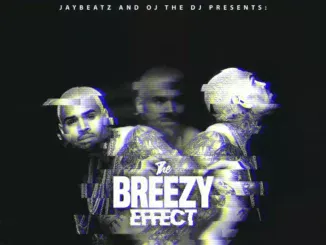 JAYBeatz  Chris Brown  Strip On The Hotline Ft. Kevin McCall & Pretty Ricky Mp3 Download