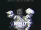 JAYBeatz  Chris Brown  Strip On The Hotline Ft. Kevin McCall & Pretty Ricky Mp3 Download