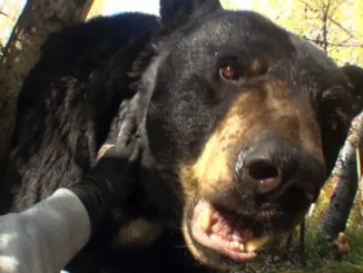 Joji  Past Won't Leave My Bed Mp3 Download