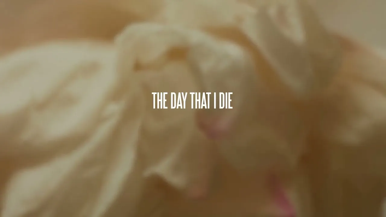 Lewis Capaldi Lewis Capaldi The Day That I Die (Official Visualizer) Mp3 Download