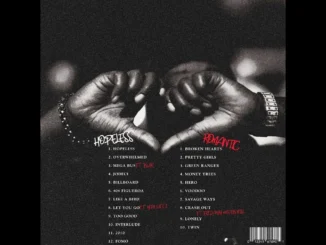 Lihtz  Lihtz  Money Trees Mp3 Download