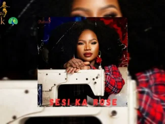 Makhadzi  Phikoko Mp3 Download