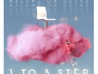 Malumz on Decks  Plus One ft. Professor Mp3 Download