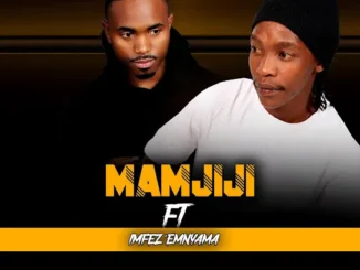 Maskandi First Class  Mamjiji_Asithandane ft. Imfezemnyama Mp3 Download