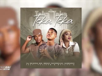 MaWhoo  Teka Teka ft. Benny Mayengani, Dj Skizoh BW & TallexQ Mp3 Download