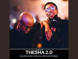 Mellow & Sleazy, Tumelo.za, Loony Q & Mu Muziqal  Thesha 2.0 (Official Audio) Mp3 Download