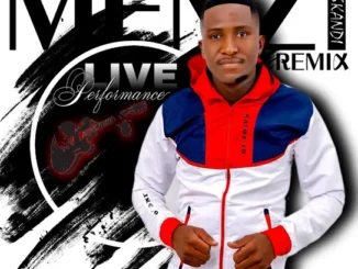 MENZI MUSIC  Wayengenalutho (Live) Mp3 Download